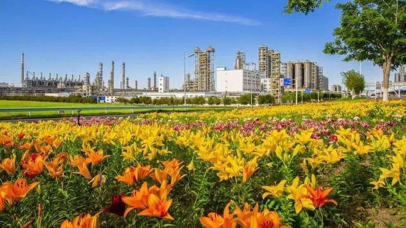 化工原料运输押运员配备：标准解读与实际应用