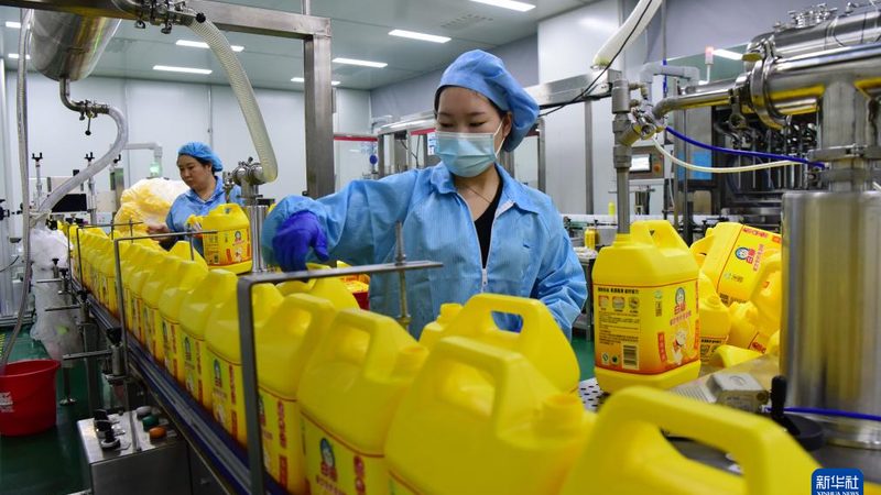 色母粒与色母料：化工新材料中的“颜”与“质”之辨