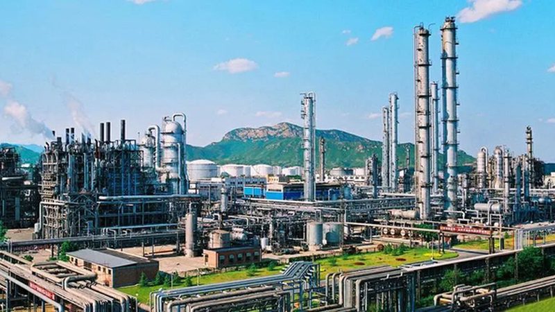 饲料添加剂规格参数如何解读？关键点详解**